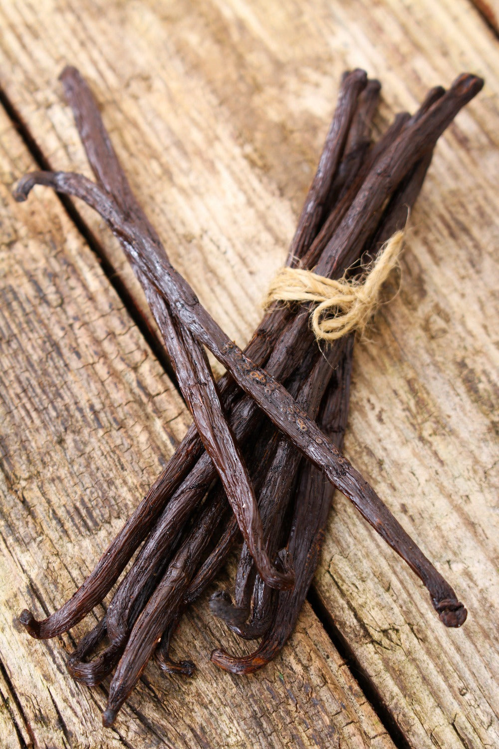 Tobacco Vanilla: 10oz Wood Wick Artisan Handcrafted Candle With Lid