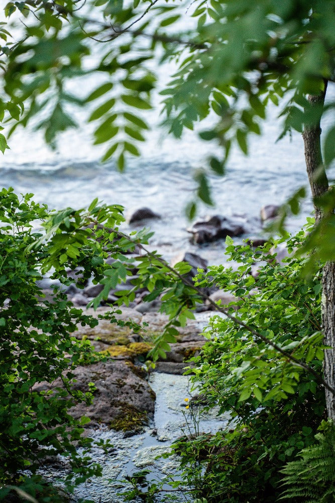Lake Superior, MN HWY 61