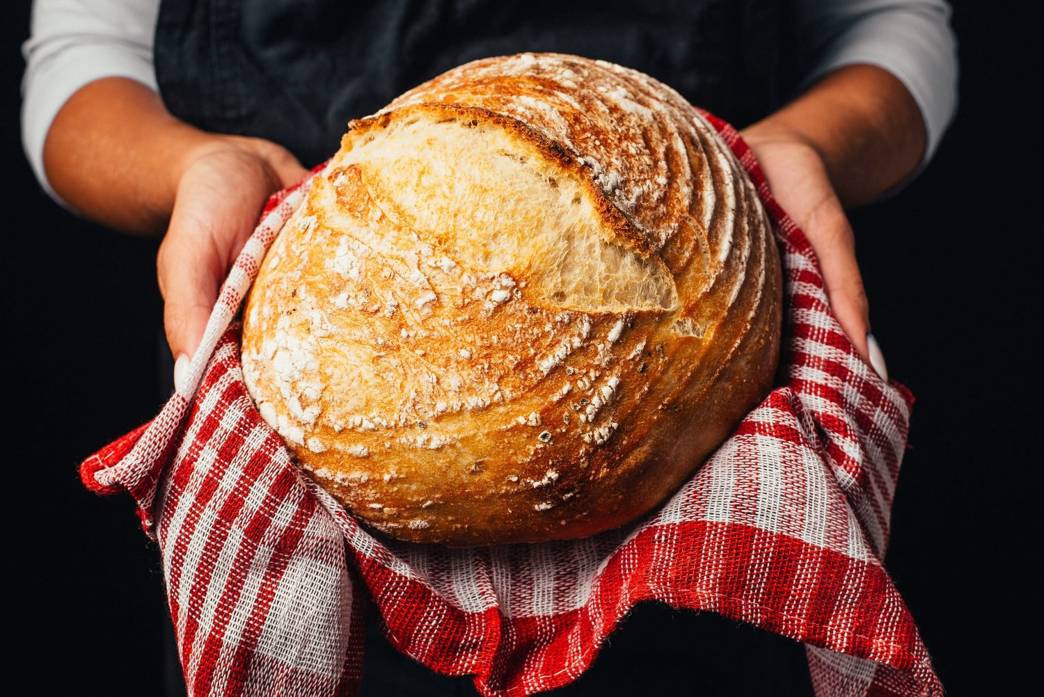 fresh baked artisan bread